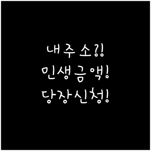 내 주소지에서 받는 민생지원금 금액과..