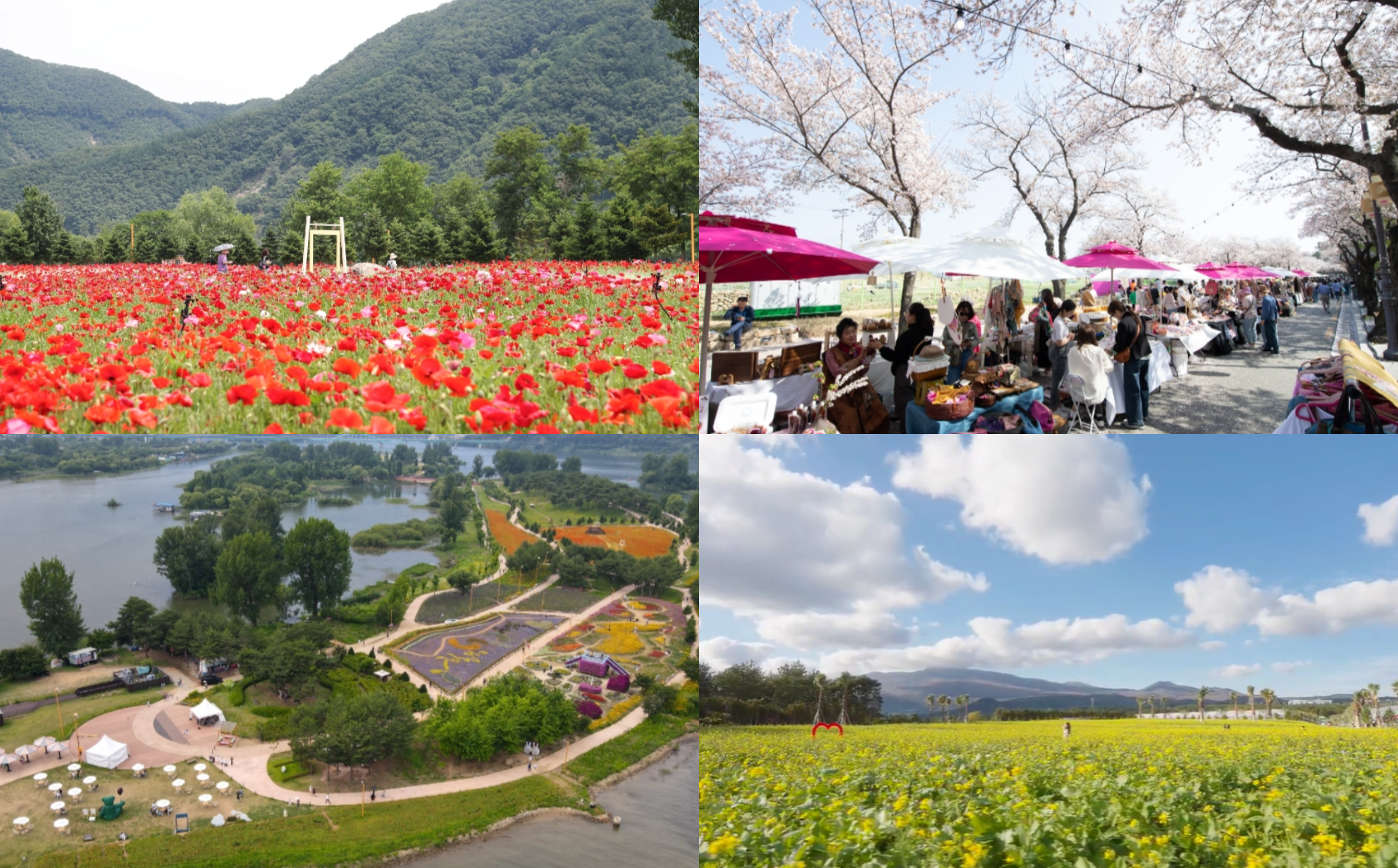 봄꽃 축제 하는곳