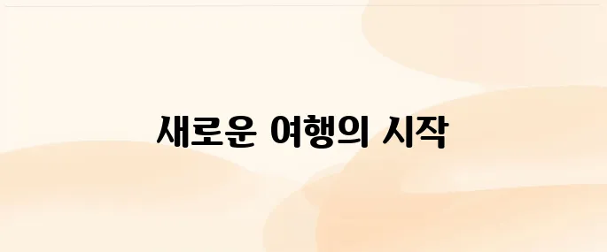 에어서울 홈페이지 (www.flyairseoul.com)