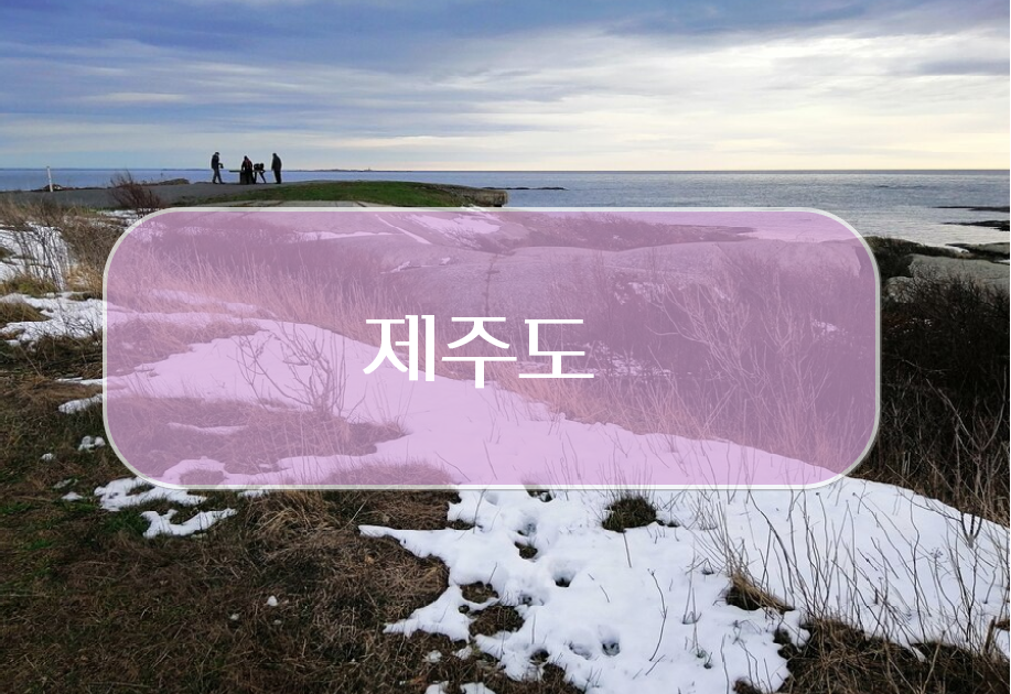 제주도