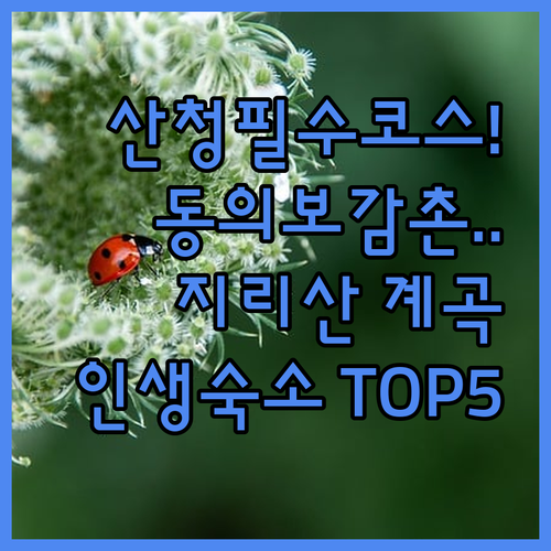 산청 가볼만한곳 동의보감촌 근처 숙소..