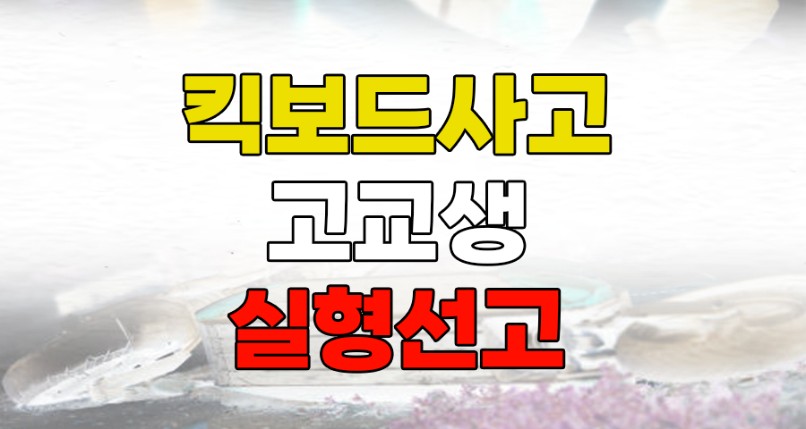 일산 킥보드 사고, 고교생 실형 선고... 전동 킥보드 안전 운전의 경고