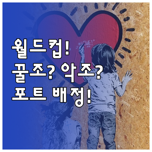 2026 월드컵 조편성 기준 랭킹 포..