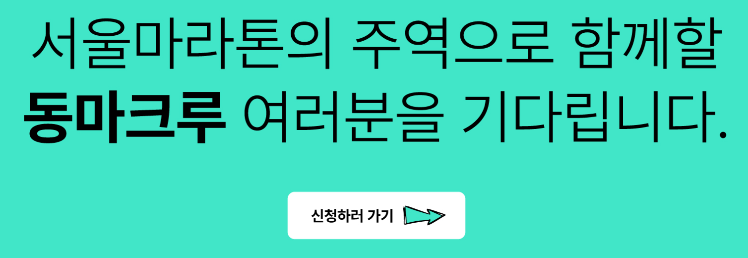 서울레이스 2025 신청