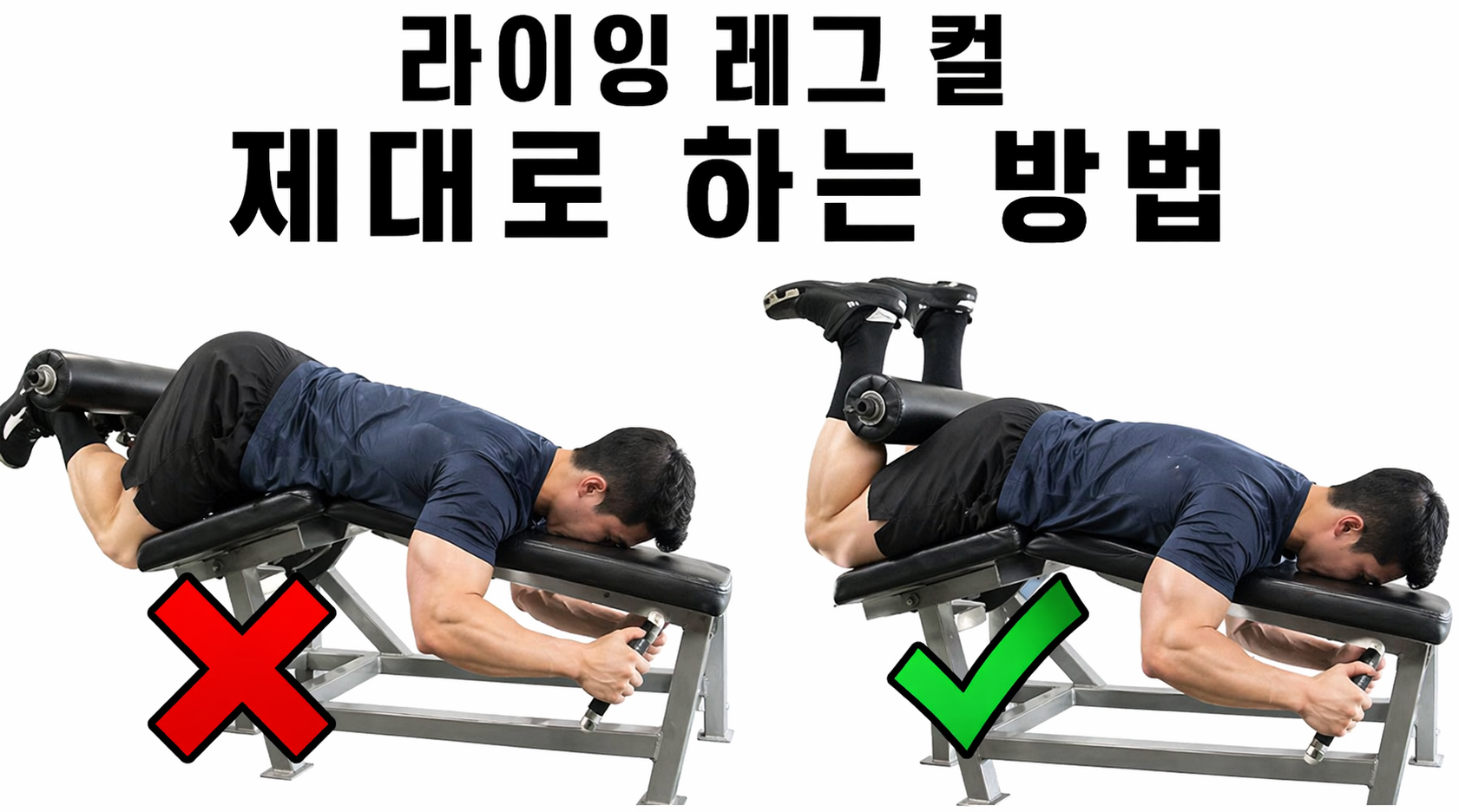 레그컬 제대로하기