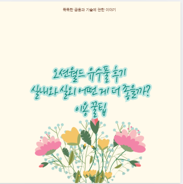 오션월드 유수풀 실내 실외 뭐가 낫나 아이와 후기