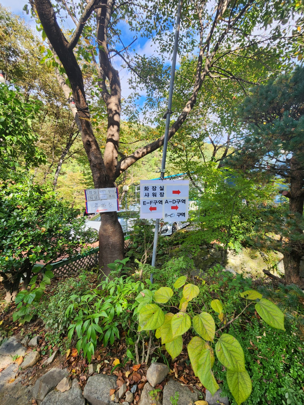 밀양 은하수캠핑 관광농원