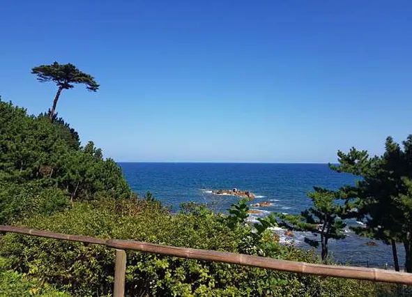 낙산사 템플스테이