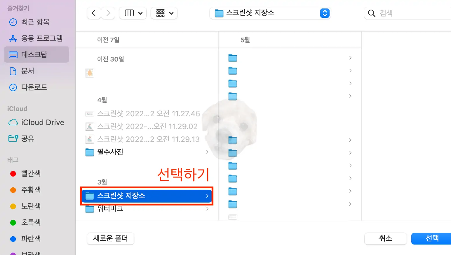 맥북 스크린샷 위치 설정 중
