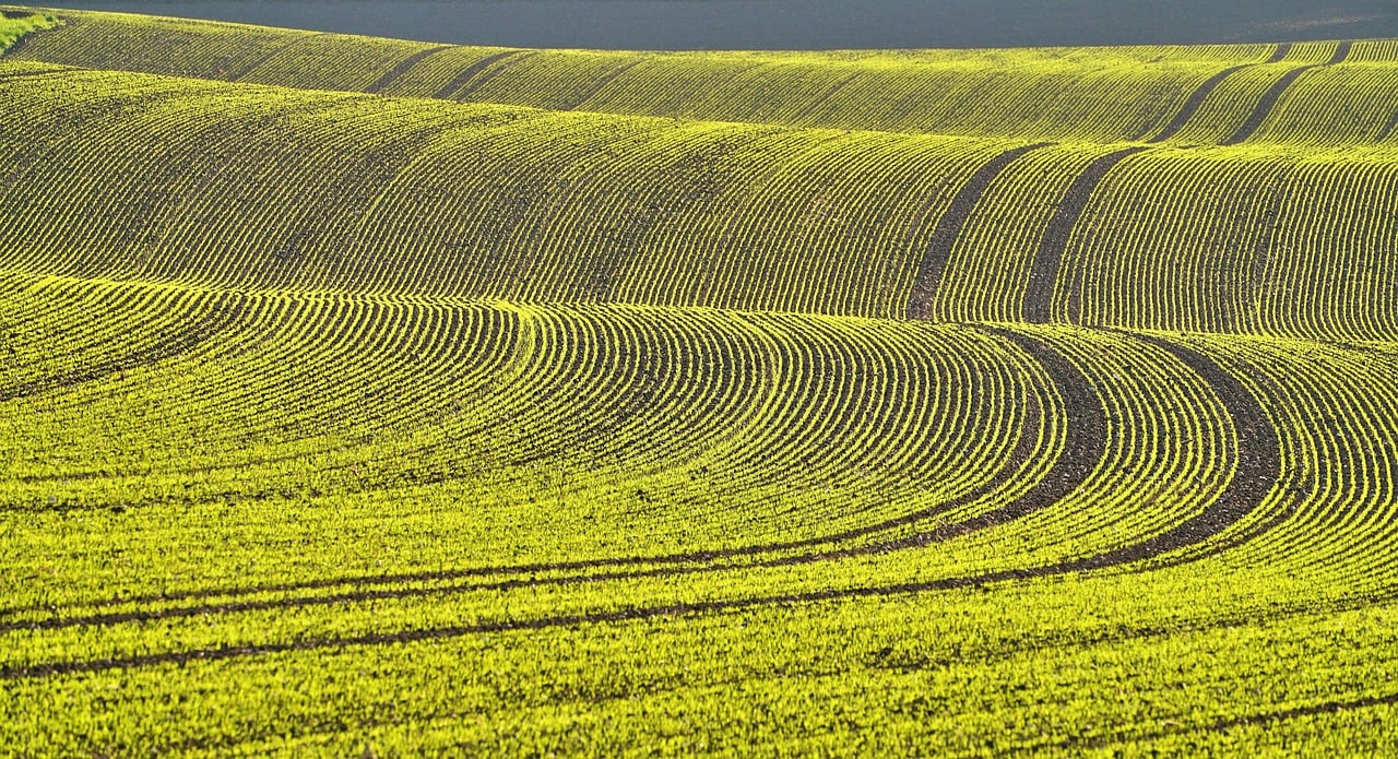 2025년 최신 농지취득자격증명 발급 절차 총정리