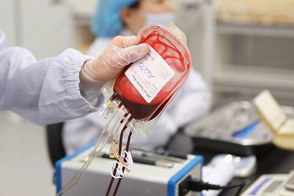 제대혈은행 연구소