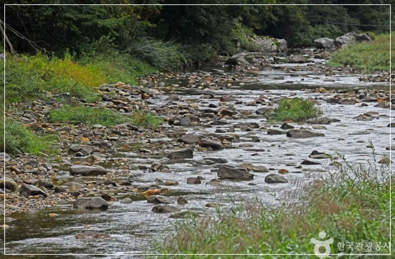 평창 가볼만한곳 베스트10 흥정계곡