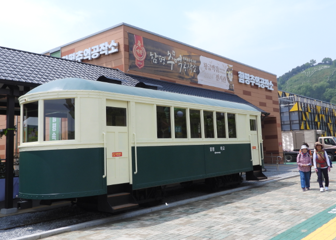 함평 나비대축제