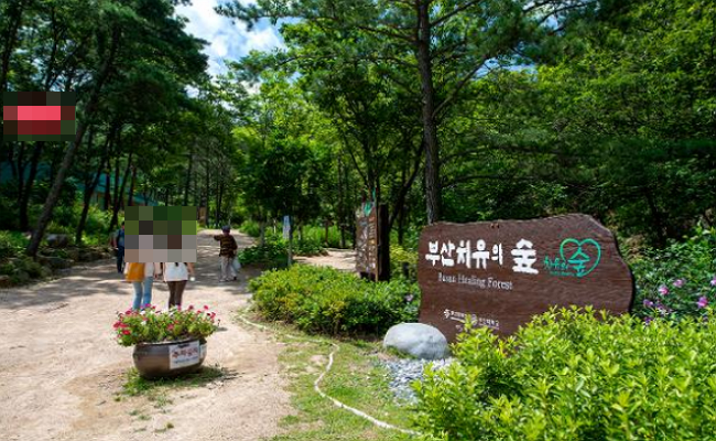 부산 치유의 숲