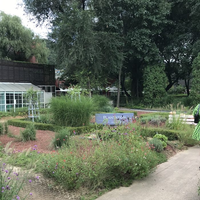 플랜테이션 내부 전경