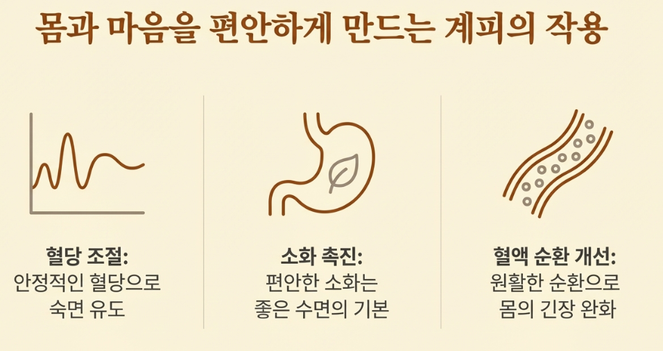 계피가 인체에 주는 효과