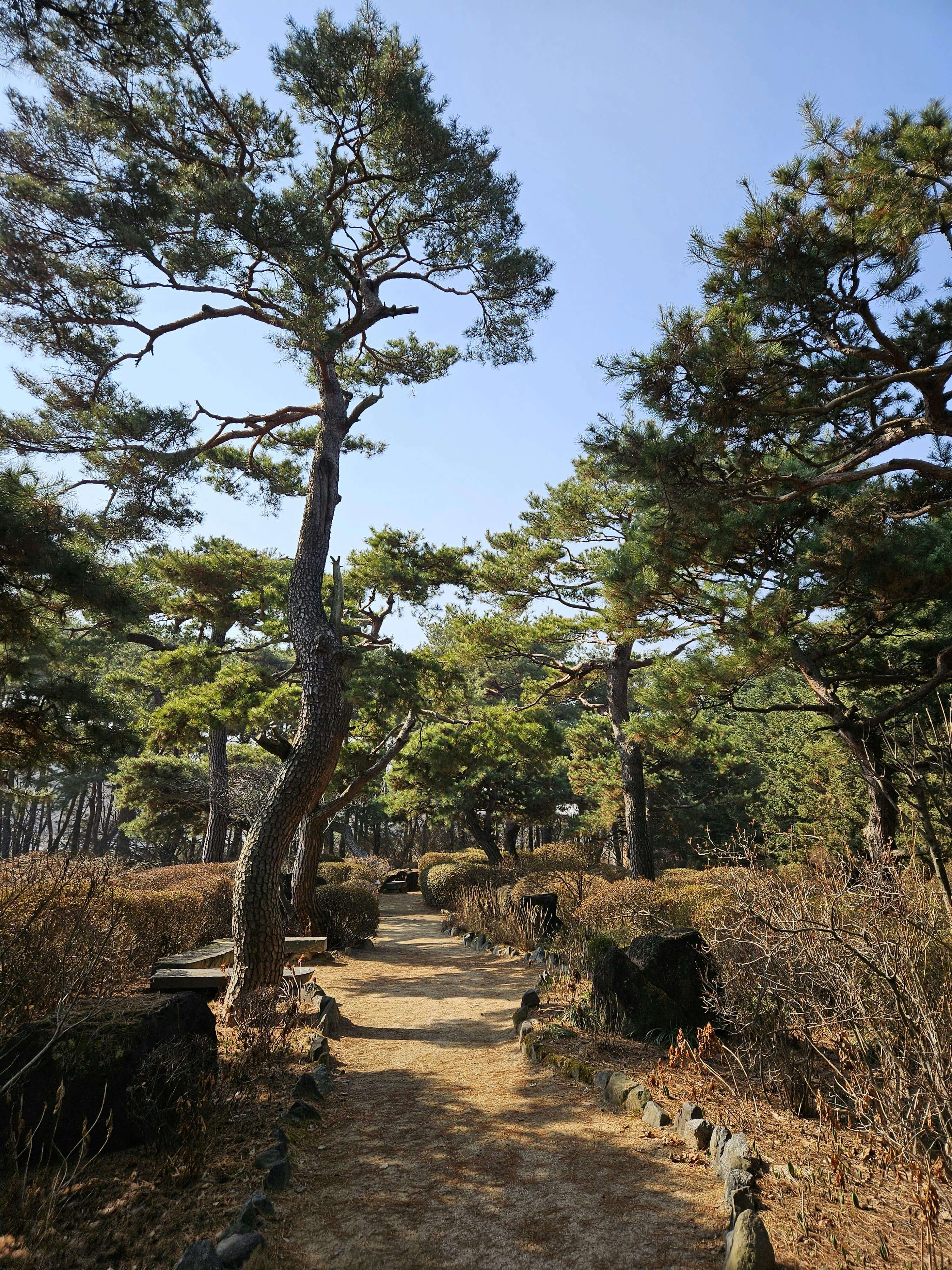 금선사 템플스테이 예약 방법 일정 총정리
