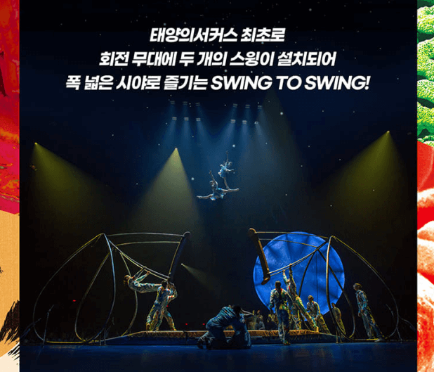 태양의 서커스 루치아 부산 공연 좌석 예매 꿀팁