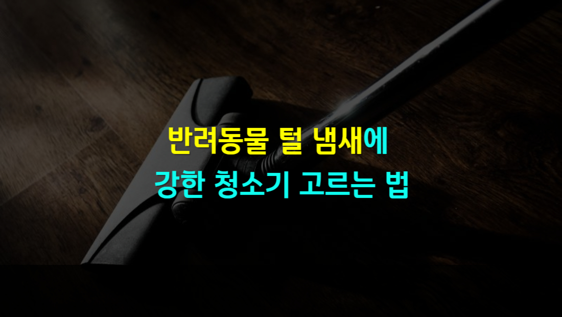 반려동물 털과 냄새에 강한 청소기 고르는 법