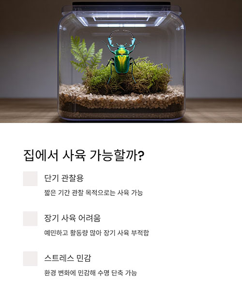 집에서 키울 수 있을까? 가능성 분석