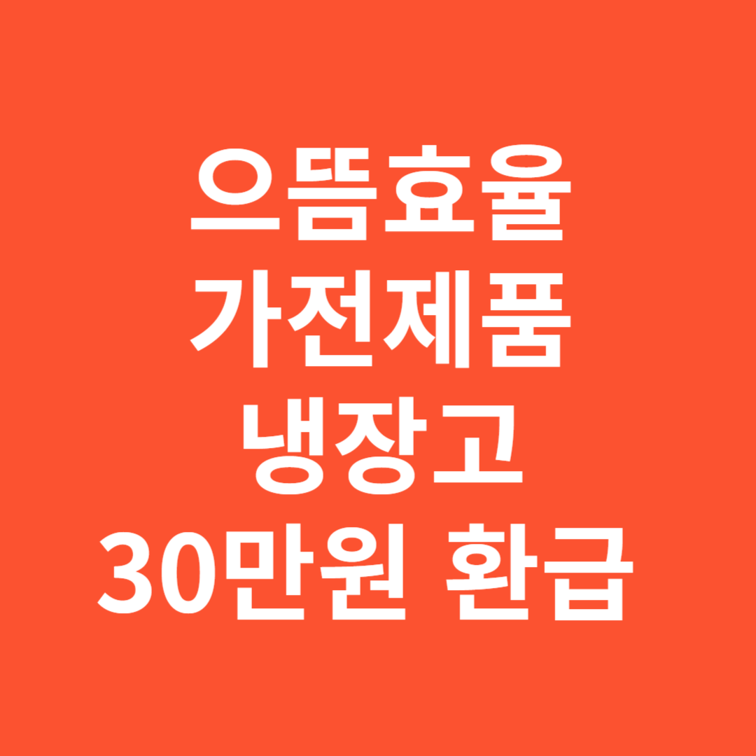 2025년 으뜸효율 가전제품 냉장고 30만원 환급 신청