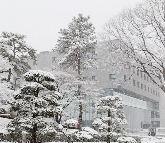 대학 지원금 정부, 지자체 어떤게 더 혜택일까? 관련 사진자료