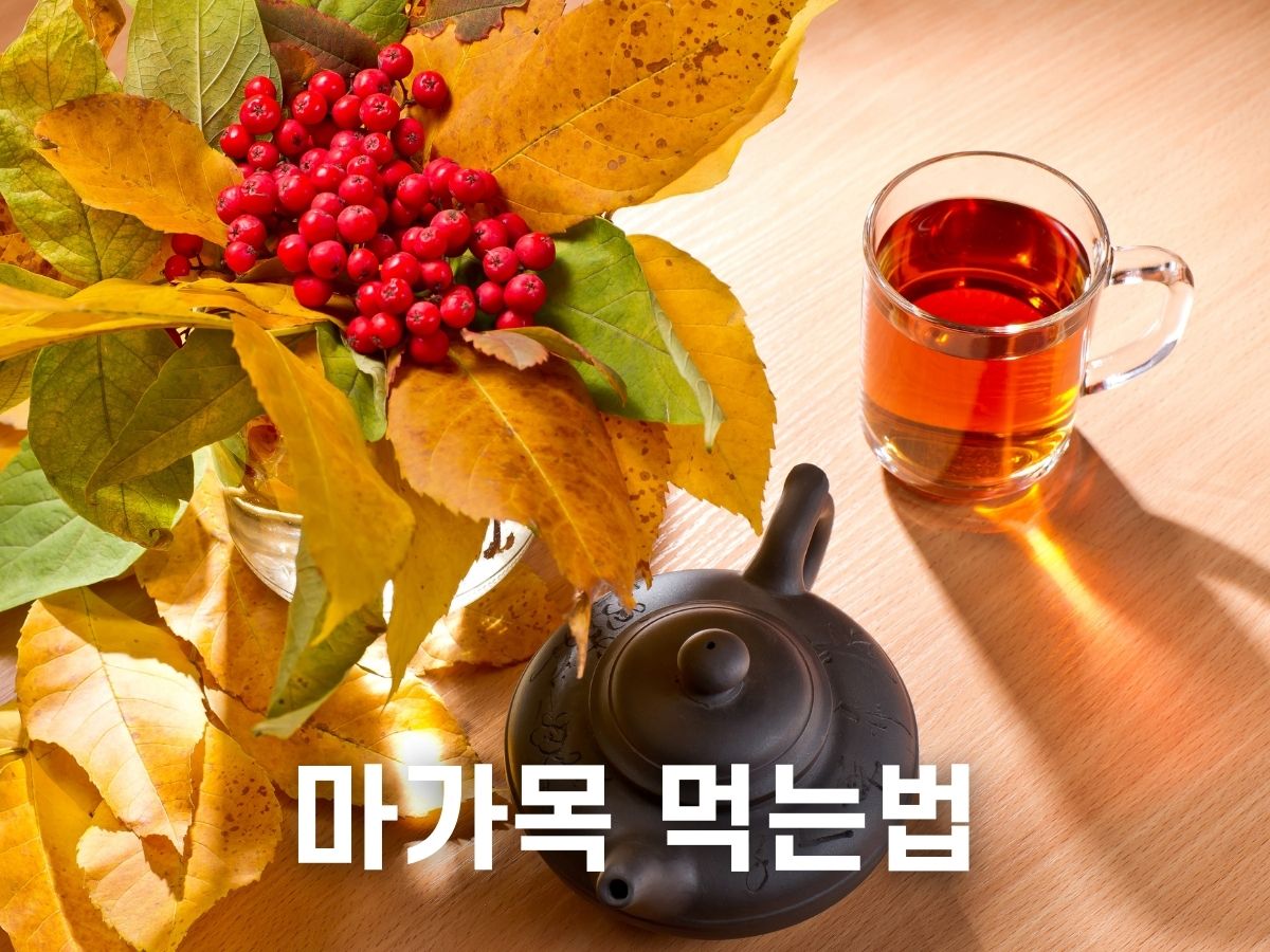 마가목 먹는법