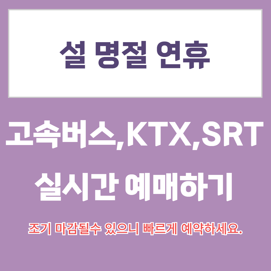 설 명절 교통편 예매하기