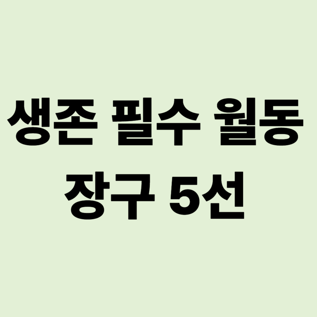 강원도 폭설 속 캠핑카 고립 탈출기: 생존 필수 월동 장구 5선