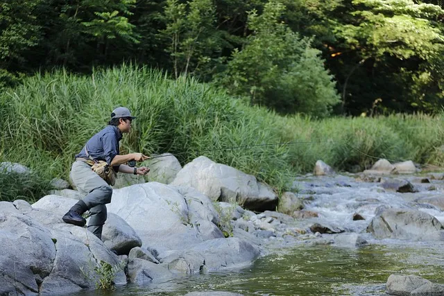 고성 화진포 해수욕장 여름 캠핑 명소와 주변 명소 안내_2