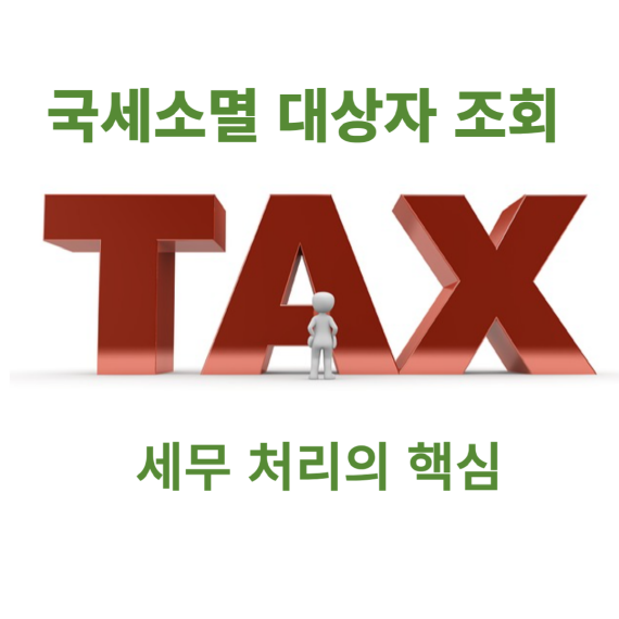 국세 소멸 대상자 조회