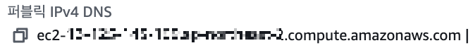 퍼블릭 IPv4 DNS