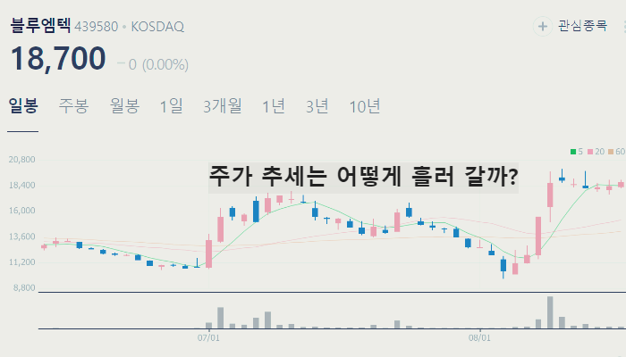 비만 치료제 관련주 대장주 TOP10