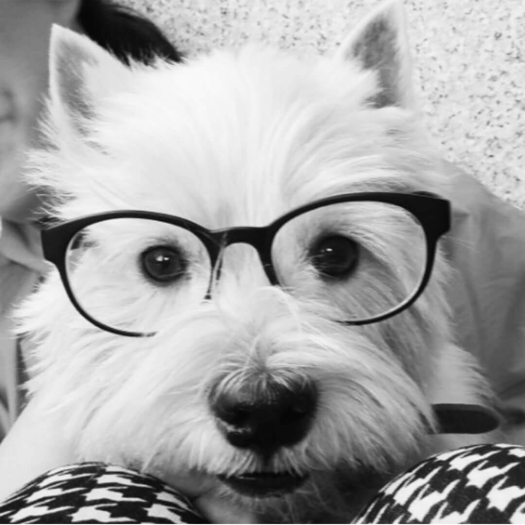 카카오 택배 집에서 보내기