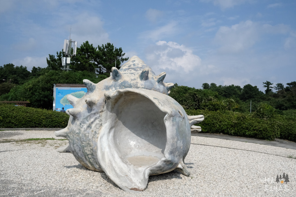 중문 주상절리대 대형소라