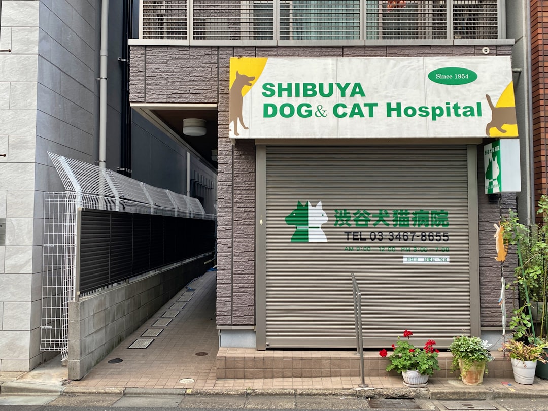 Cat医院 (Cat Hospital)
