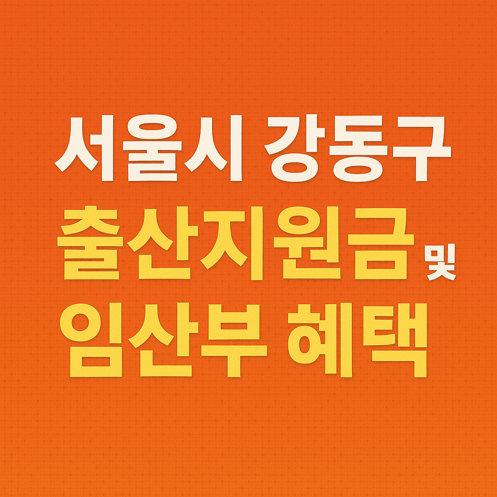 서울시 강동구 출산지원금 및 임산부 혜택