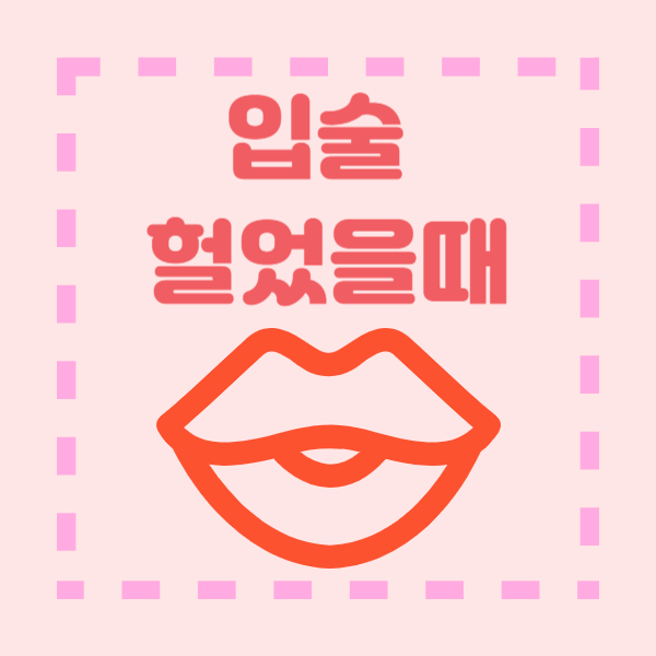 입술 헐었을때