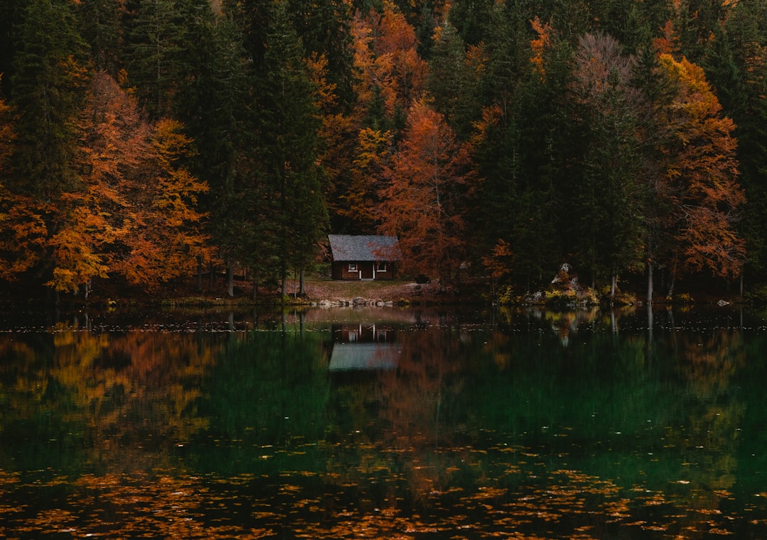 Cabin