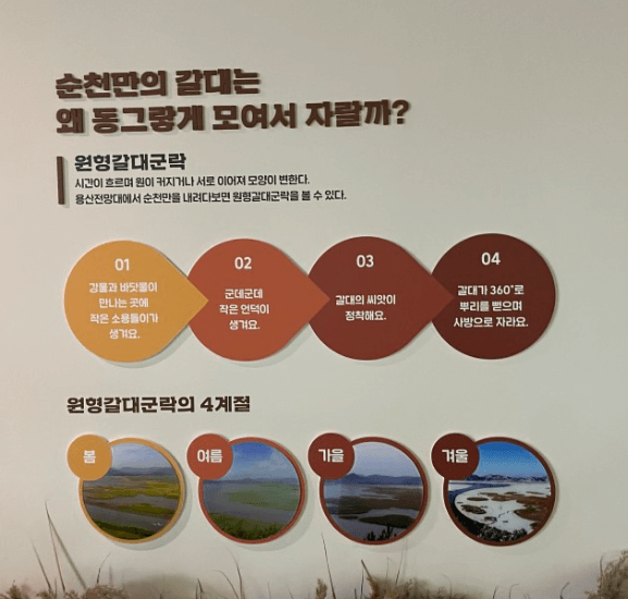 가을여행지 순천만습지