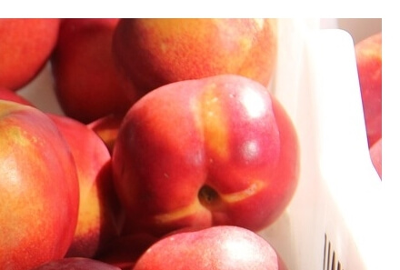 천도복숭아효능