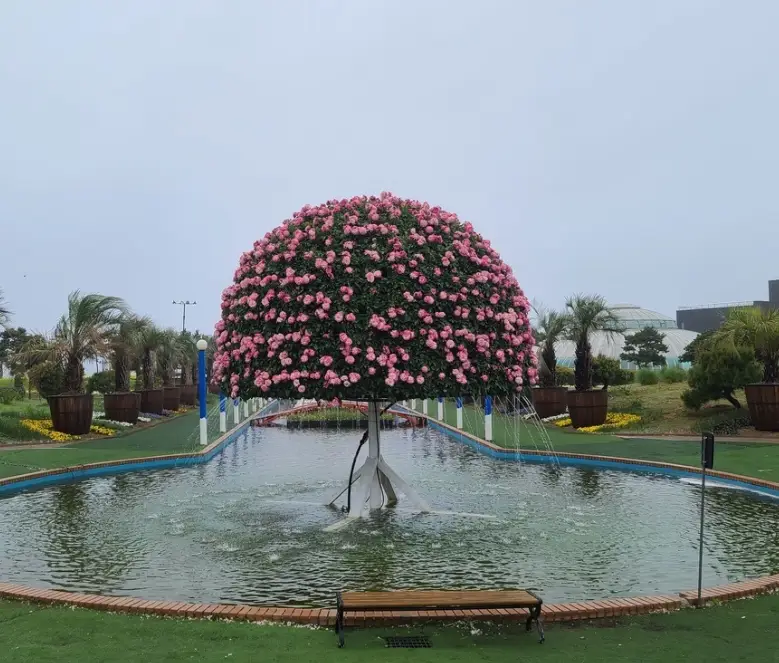 태안 튤립축제 일정, 개화시기