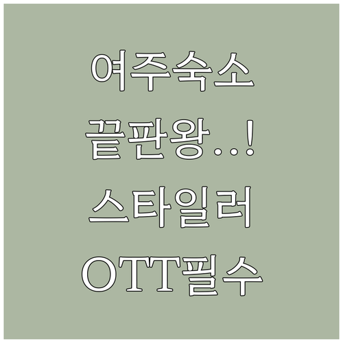 여주 아울렛 근처 숙소 추천 스타일러..