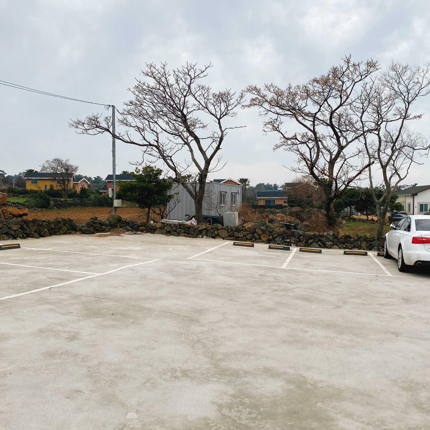 제주 한림공원 명월 디저트맛집 뵤뵤카페