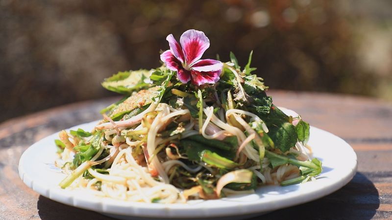 도림스님 '산야초된장국수'