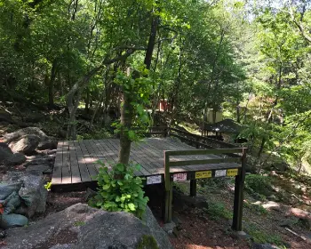 축령산 자연휴양림_7