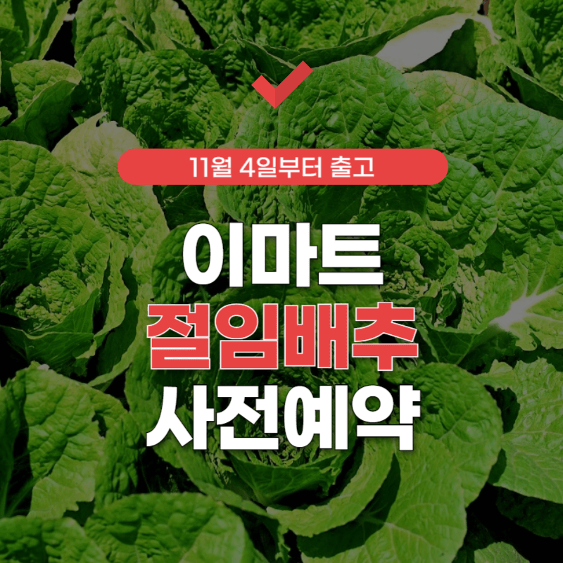 이마트-절임배추-사전예약-썸네일