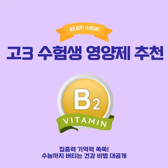 고3 수험생 영양제 추천