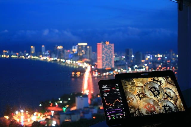 NFT와 비트코인 상승장의 상관관계