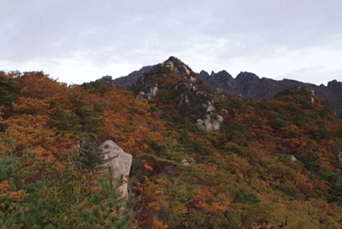 해인사06